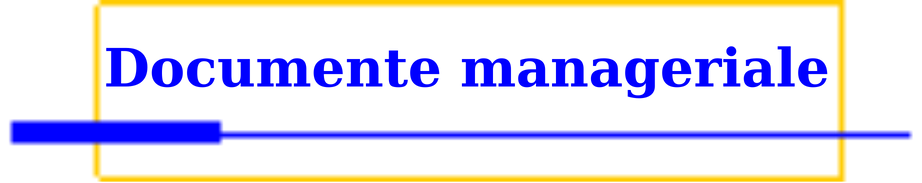 documente manageriale